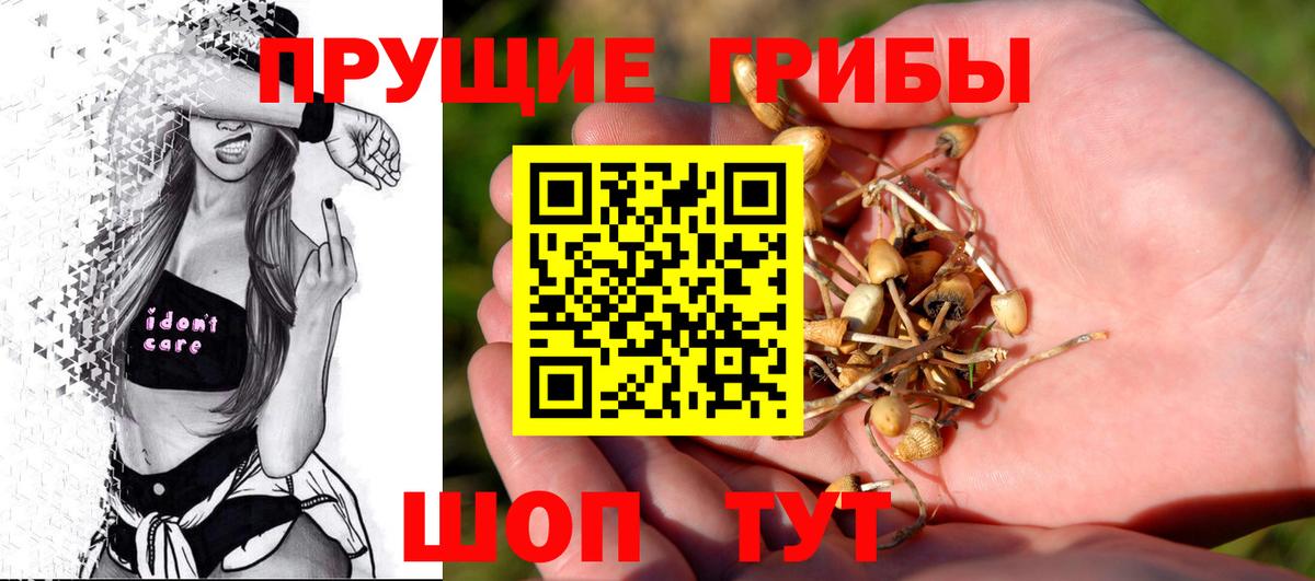 Отрадное  Псилоцибиновые грибы Psilocybe  что такое наркотик  Вход с VPN 
